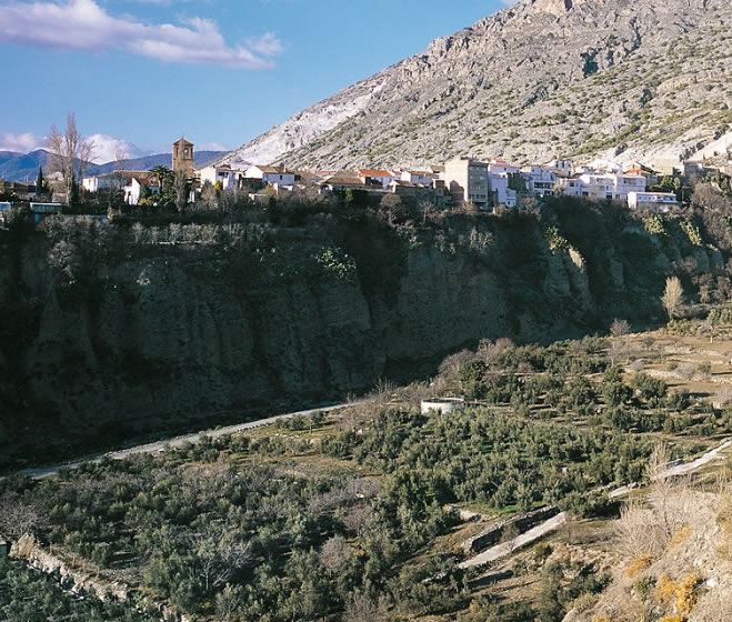 POA-3  VALLE DE LECRÍN: EL OLIVAR NAZARÍ 2